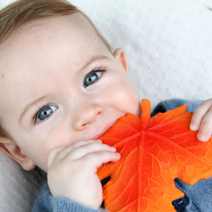 Natural Rubber Teether - Autumn Maple Leaf