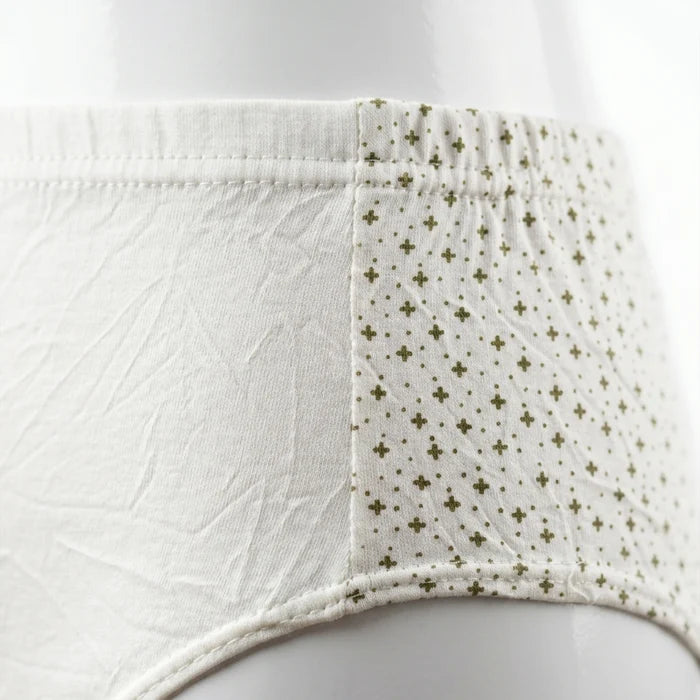 Silqiaa Pack of 2 Soft Cotton High-Waist Underwear (A/N: 62)