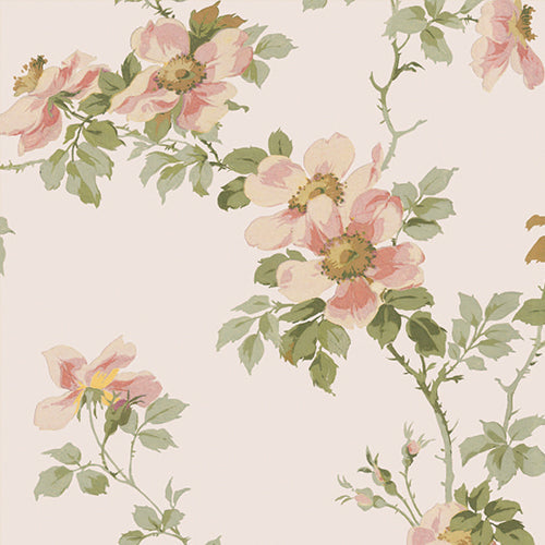 Cream Blush Field Rose